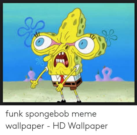 Funk Spongebob Meme Wallpaper HD Wallpaper Meme On ME ME