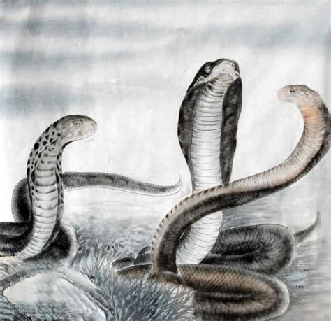 Chinese Snake Painting 0 4449033 66cm X 66cm26〃 X 26〃
