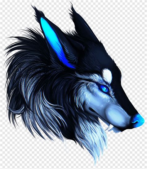 Black Wolf Illustration Dog Arctic Wolf Drawing Anime Wolf Blue