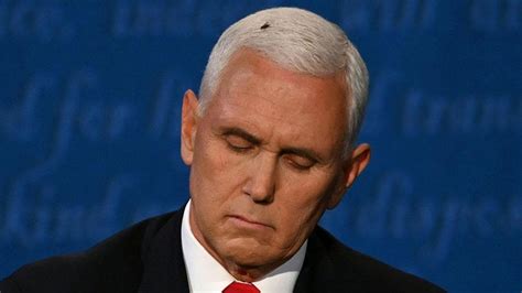 Not Only Was Mike Pence A Traitor He Was Also A Homophobe Who Forced