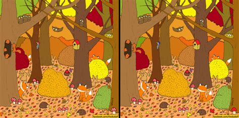 Spot The Difference Pictures Autumn Forest Edition Mental Floss