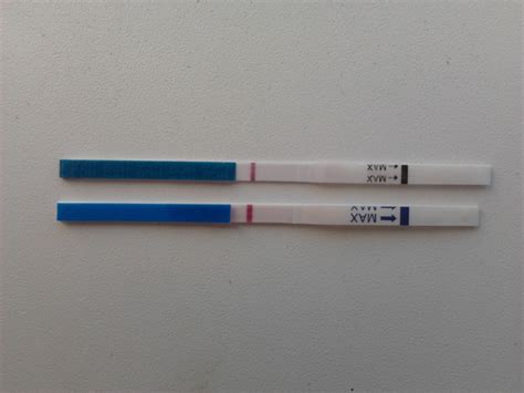 How does a test work? Pregnancy Test - Positive and Negative (Pictures) | Health ...