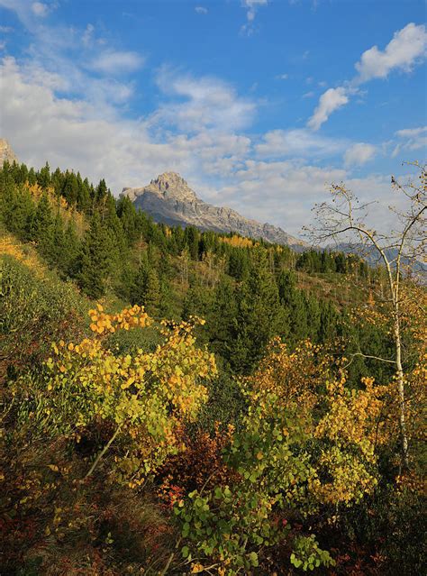 Autumn Morning Hiking Grand Tetons Photograph By Dan Sproul Fine Art