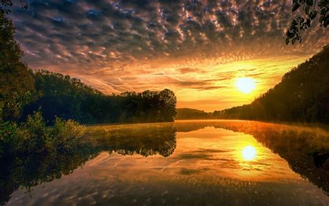 Nature Landscape Water Mist Liquid Lake Sunset Forest Calm