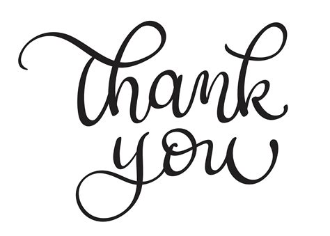 Thank You Text On White Background Calligraphy Lettering Vector