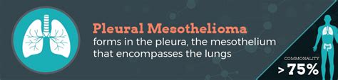 Types Of Mesothelioma The Williams Law Firm Firm