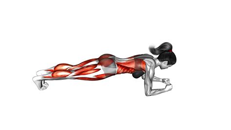 Front Plank Arm And Leg Lift For Females Video Guide And Tips