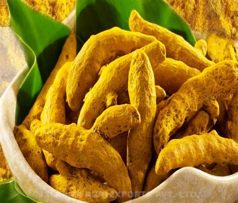 Turmeric Finger Jalaram Agriexports Ltd