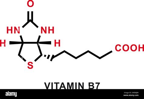 Vitamin B7 Chemical Formula Vitamin B7 Chemical Molecular Structure