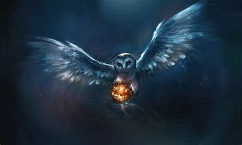 15 Beautiful Owl Artworks