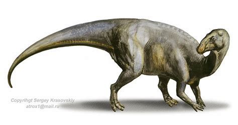Hadrosaurus Cool Dino Facts Wiki Fandom Powered By Wikia