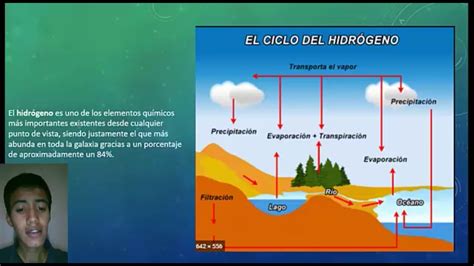 Ciclos Biogeoquimicos Youtube