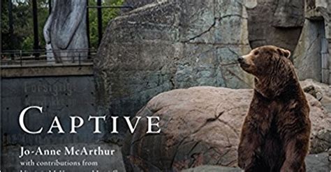 Captive Renowned Photographer Jo Anne Mcarthurs New Book About Zoos