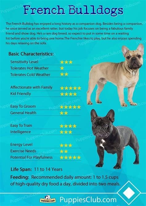 French Bulldog Color Genetic Code Chart