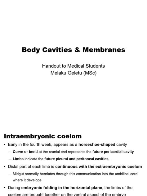 8 Body Cavities And Membranes Pdf Peritoneum Anatomy