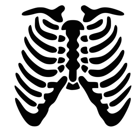 To search on pikpng now. Skeleton Rib Cage SVG PDF PNG Eps Dxf File Custom Designs ...