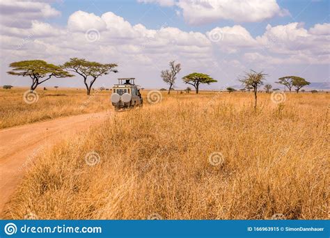 Safari Tourists On Game Drive With Jeep Car In Serengeti National Park