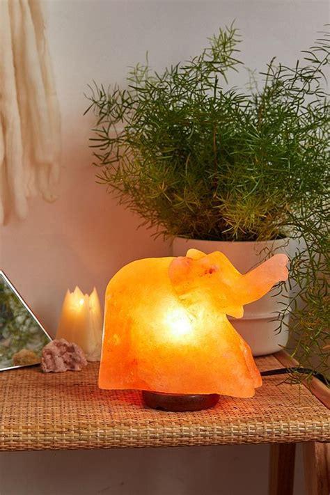 Salt poisoning is extremely deadly to animals and she is basically a miracle to still be here now. Elephant Himalayan Salt Lamp | Salt lamp, Himalayan salt ...