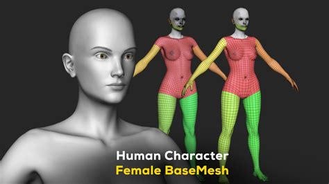 3d Model Human Character Female Basemesh Woman Body
