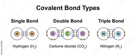 Scientific Designing Of Covalent Bond Types Single Double And Triple Bonds Types Colorful