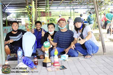 Tarung Derajat Kna Bird Farm Cup 1 Surabaya 1 Lb Mugiwara Hatrik