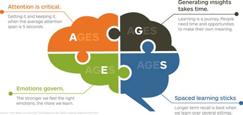 The Ages Model And More Cognitive Science