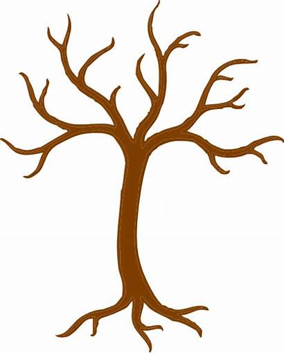 Tree Bare Roots Clip Vector Clipart Root