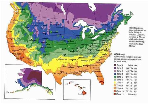 Choosing Your Hop Variety Gardening Zones Gardening Zone Map