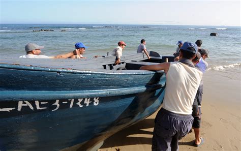 FAO - News Article: Fisheries: Urgent action needed on overfishing