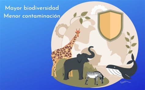 10 Acciones Para Cuidar La Biodiversidad Porn Sex Picture