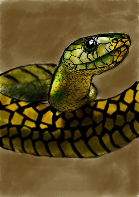 Snake Digital Painting By Xdome On Deviantart