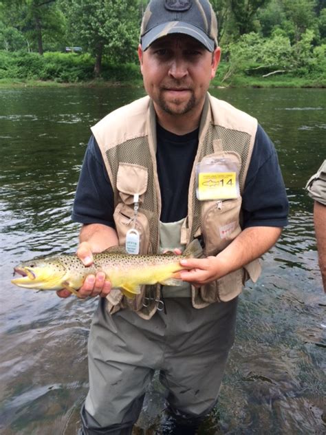 Fly Fishing In The Pennsylvania Grand Canyon Region Thetroutscout