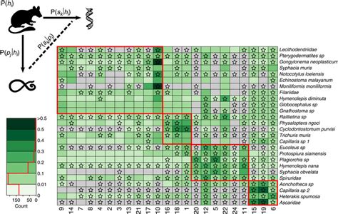 Parasite Supertype Association Matrix Matrix Values Depict The