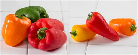 Different Types Of Peppers To Spice Things Up Mr Foods