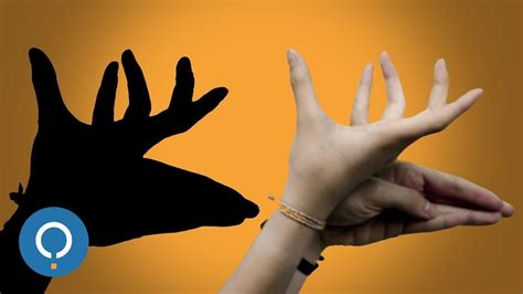 How To Make Shadow Animals With Your Hands Hand Shadows