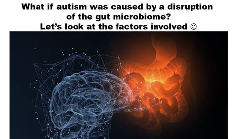 What If Autism Was Caused By A Disruption Of The Gut Microbiome Dr