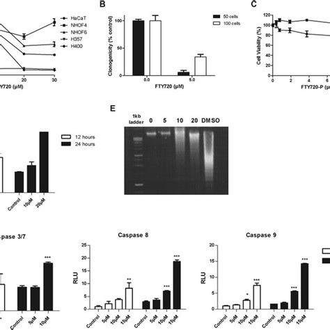 The Role Of S1p S1pr1 Axis In T Cell Trafficking S1p Is Maintained At