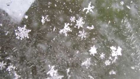 Real Snowflakes Falling From The Sky