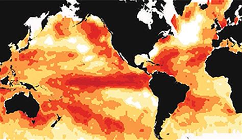 Study Says Marine Heat Waves Are Spreading Like Wildfires The Inertia