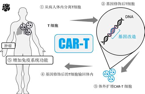 120万元一针的抗癌药，凭什么这么贵？靠打针能将癌细胞清零吗？澎湃号·政务澎湃新闻 The Paper