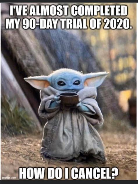 Because with baby yoda cookies, baby yoda cocktails, and baby yoda hot chocolate bombs, i think he's here to stay. Baby Yoda + funny saying = meme ...right ...