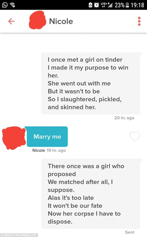 Tinder Users Reveal Funniest Chat Up Lines Express Digest