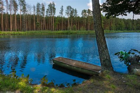 Fishing Boat Moored At The Edge Of The Forest Stock Photo Image Of