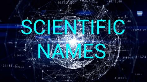 Scientific Names Youtube