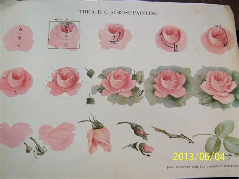 I paint still life, different fruits such as grapes, apples, pears, pomegranate, bananas, and more. CHINA PAINTING STUDY ABC ROSE STUDY DOROTHY PARK STEP BY ...