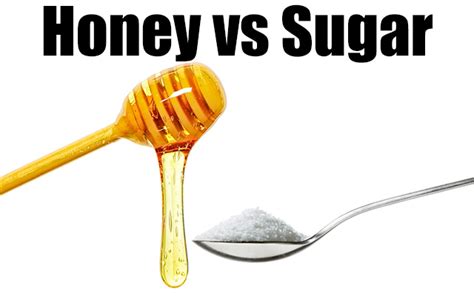 Perhaps you already have a basic understanding of this app. Honey vs Sugar - Good Whole Food