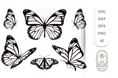 Butterfly Svg Bundle - 6 Monarch Butterfly Svg Cut Files