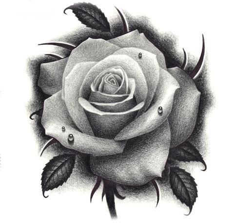 Tattoo Rose Tatuagem Realista De Rosa Desenhos De