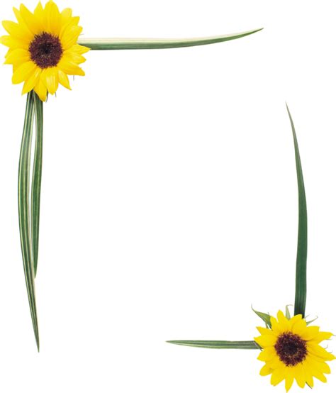 Forgetmenot Sunflowers Frames