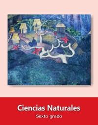 Encuentra todos tus libros de texto de la sep para que los puedas ver desde tu compu, tablet o celular. Ciencias Naturales sexto grado 2019-2020 - Libros de Texto ...